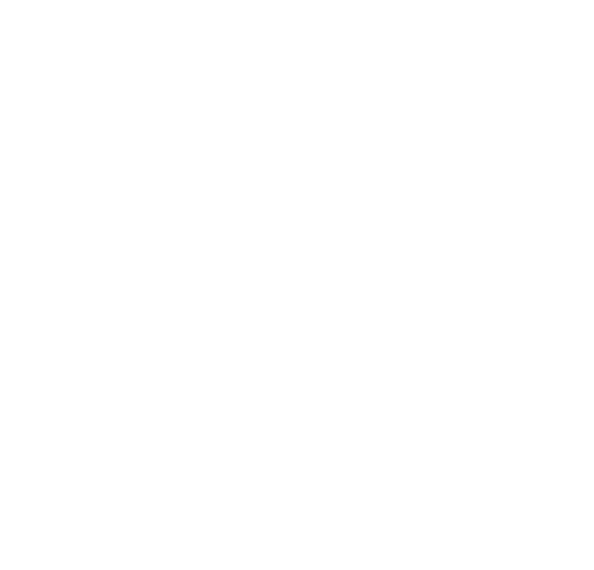 AVS awolvision