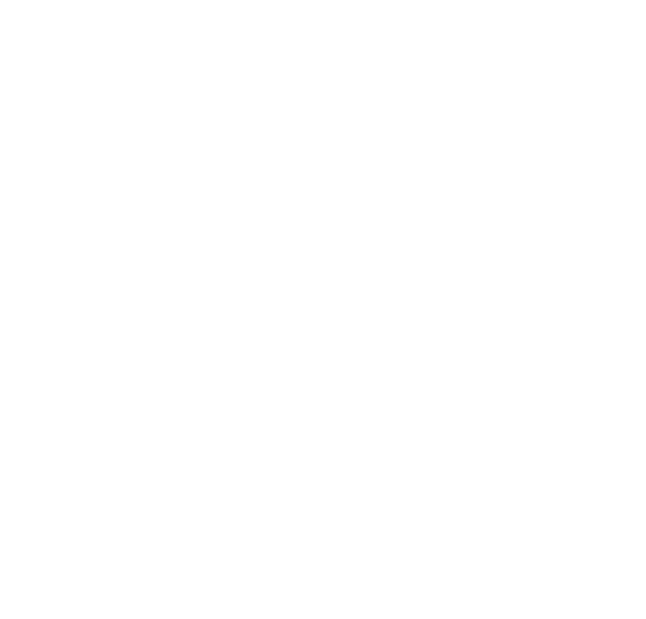 AVS dmflighting