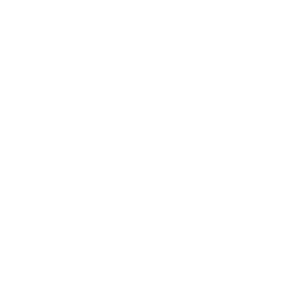 AVS evoralight