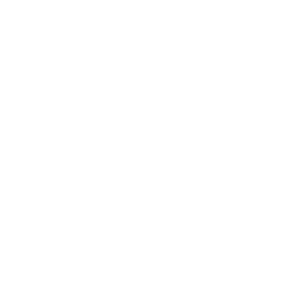 AVS hunterdouglas