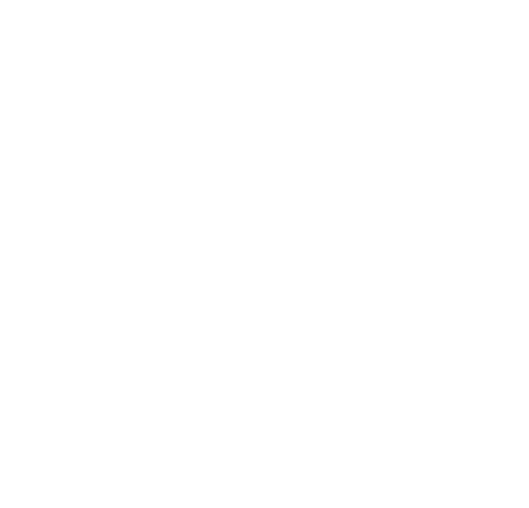 AVS lencore