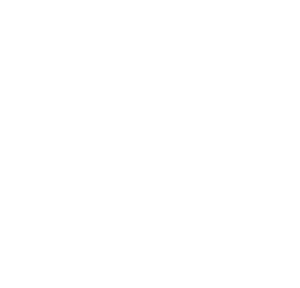 AVS paradigm