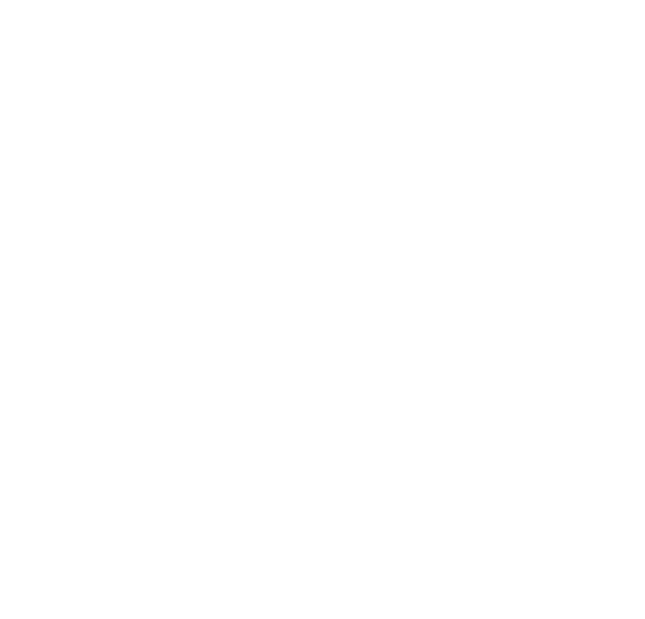 AVS severtsonscreens
