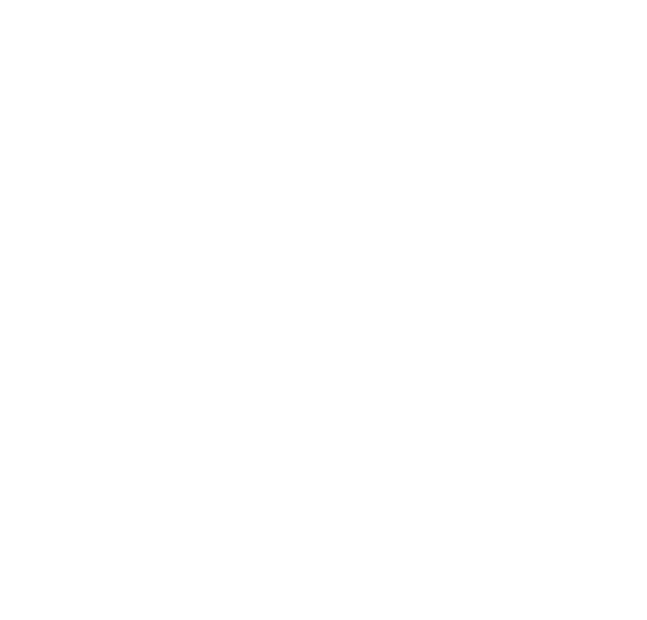 AVS sonance